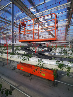 Ciseaux à haute souplesse pour les cueilleurs de légumes en serre