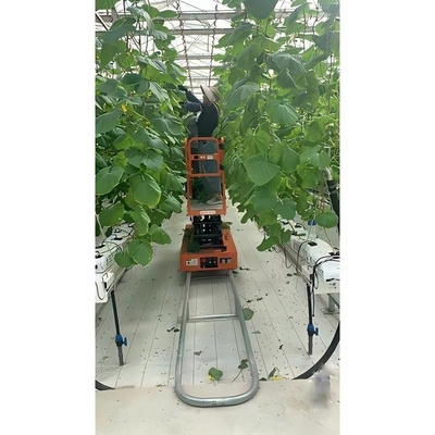Coiffeur de légumes à ciseaux, chariot de chemin de fer série GL 5,0 m ~ 6,0 m